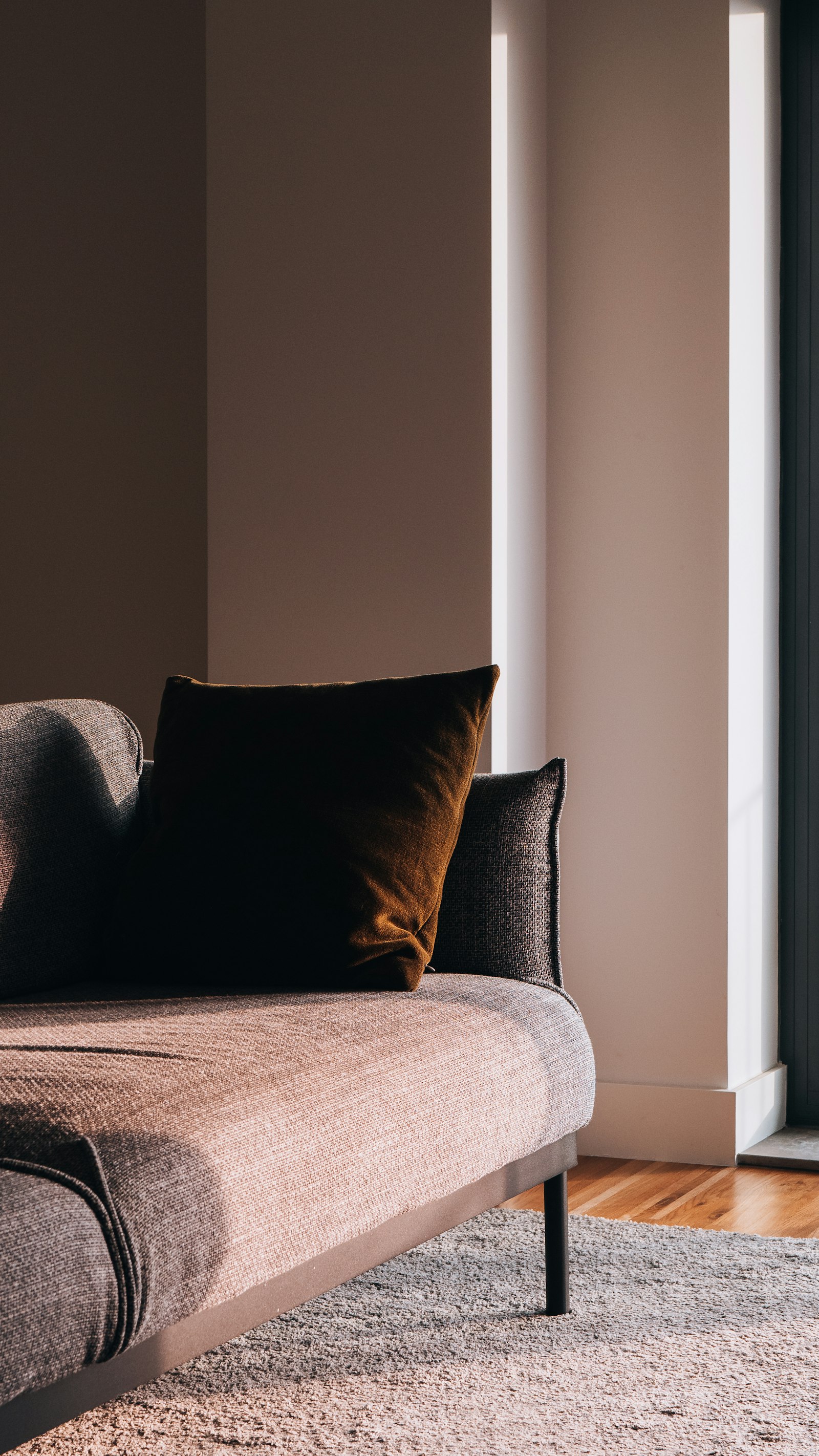 Sofa with a dark velvet cushion against a pink wall