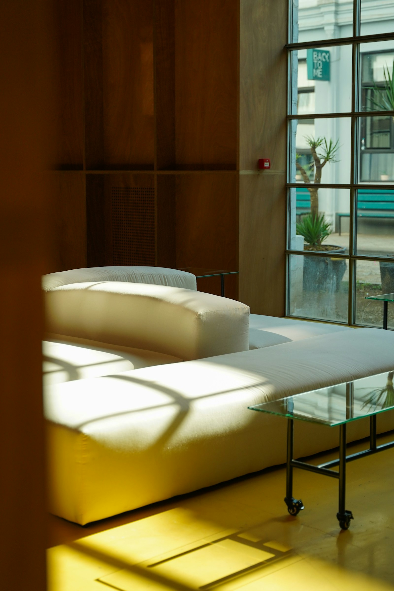 White sofa in a band of afternoon sun